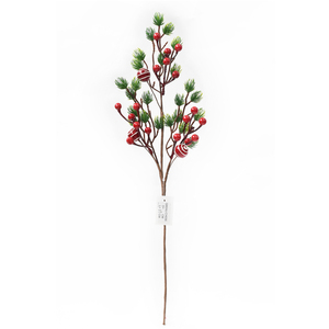 RED AND GREEN BERRY PICK