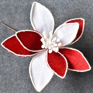 Red and White Christmas Flower