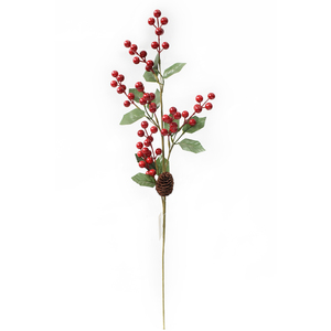 RED AND GREEN BERRY PICK
