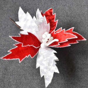 Red and White Christmas Flower