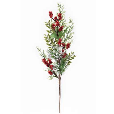 RED AND GREEN BERRY PICK