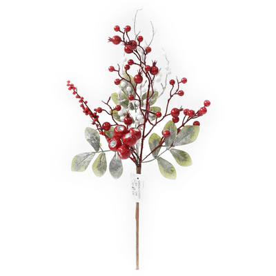 RED AND GREEN BERRY PICK