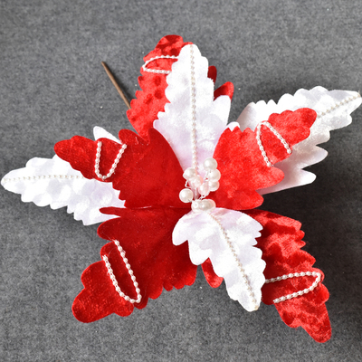 Red and White Christmas Flower