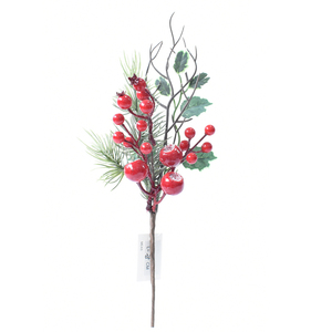RED AND GREEN BERRY PICK