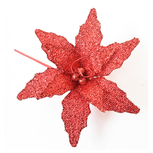 Red Chirstmas Flower