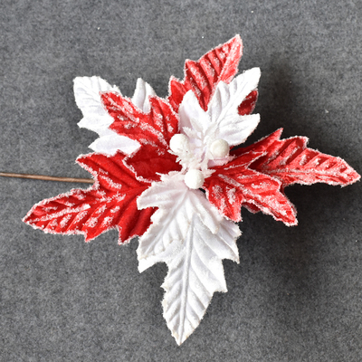 Red and White Christmas Flower