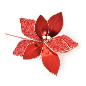 Red Christmas Flower