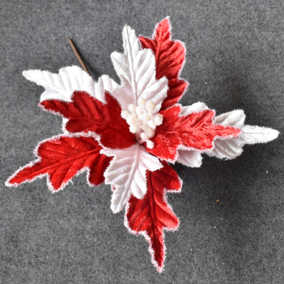 Red and White Christmas Flower