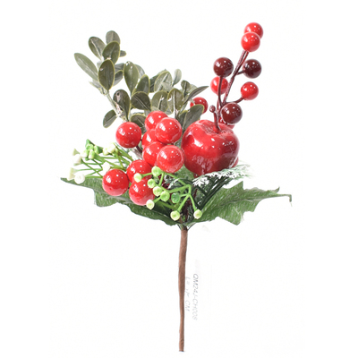 RED AND GREEN BERRY PICK