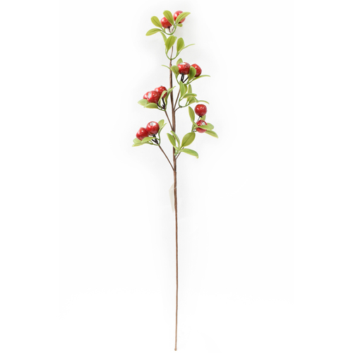 RED AND GREEN BERRY PICK