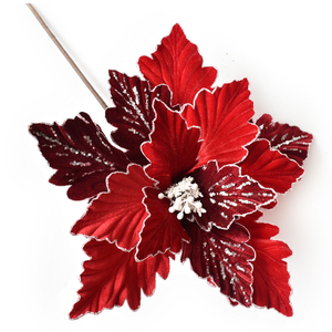 Red and Burgundy Christmas Flower