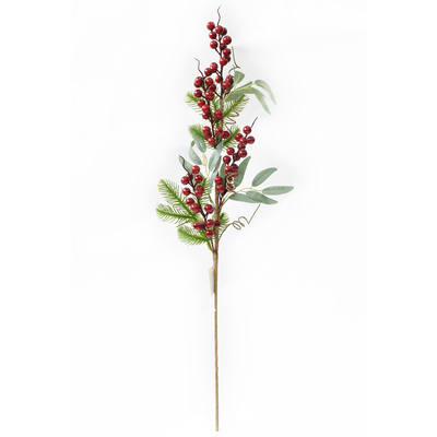 RED AND GREEN BERRY PICK