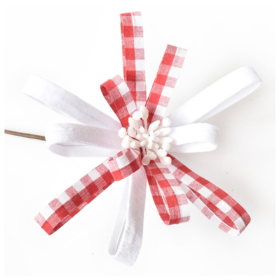 Red and White Christmas Flower