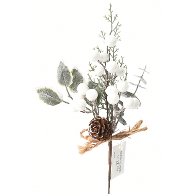 WHITE AND GREEN BERRY PICK