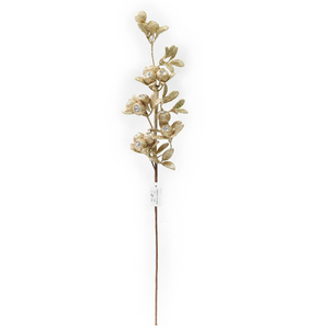 GOLD BERRY PICK