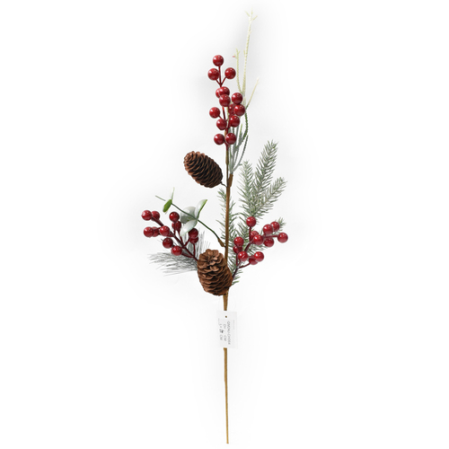 RED AND GREEN BERRY PICK