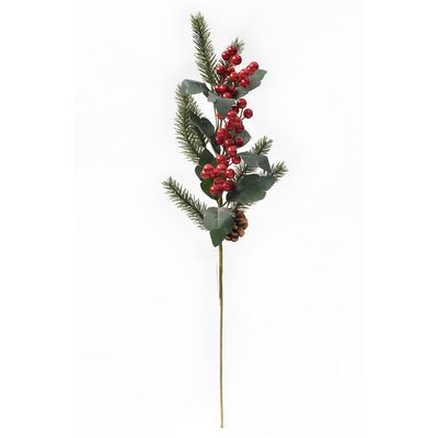 RED AND GREEN BERRY PICK