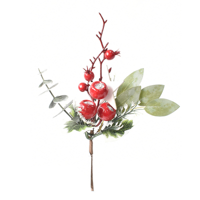 RED AND GREEN BERRY PICK