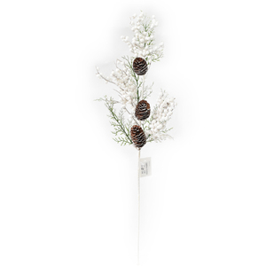 WHITE BERRY PICK