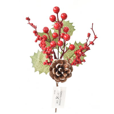 RED AND GREEN BERRY PICK