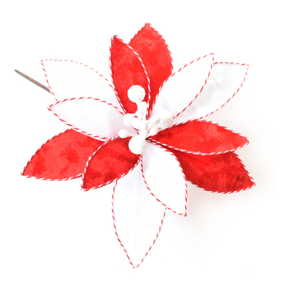 Red and White Christmas Flower