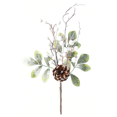 WHITE AND GREEN BERRY PICK