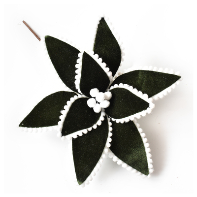 Atrovirens Christmas Flower