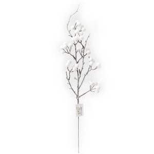 WHITE BERRY PICK