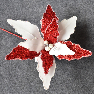 Red and White Christmas Flower