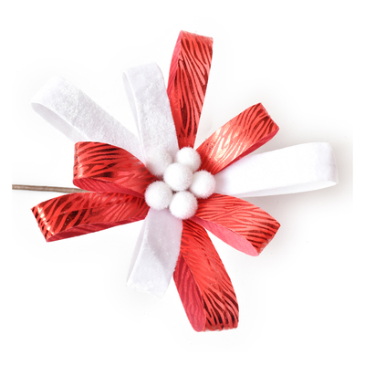 Red and White Christmas Flower
