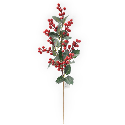 RED AND GREEN BERRY PICK