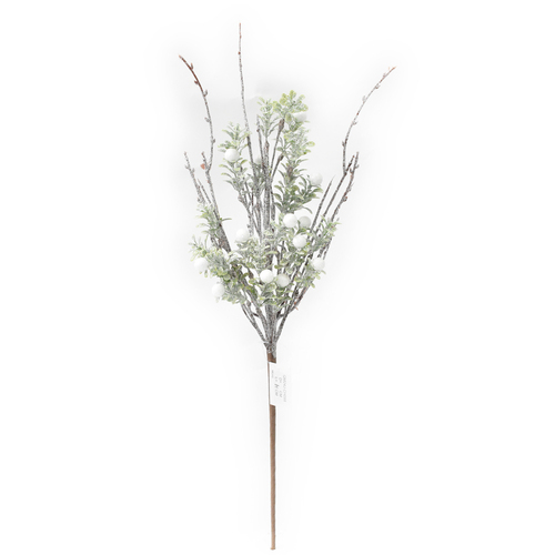 WHITE AND GREEN BERRY PICK