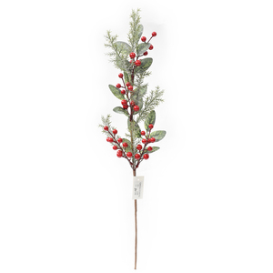 RED AND GREEN BERRY PICK