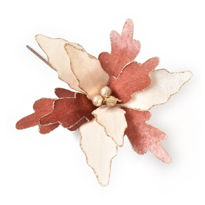 Champgane and Rose Golden Christmas Flower