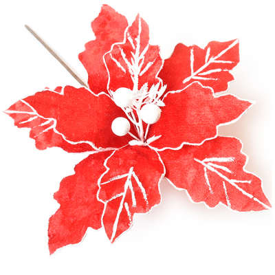 Red and White Christmas Flower