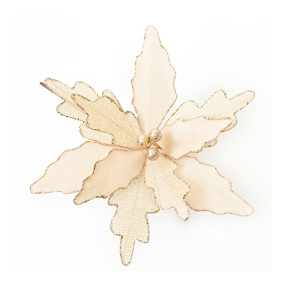 Champange Christmas Flower