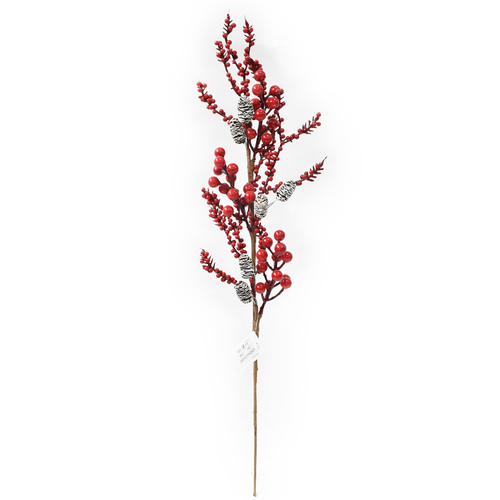 RED BERRY PICK