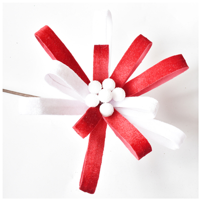 Red Christmas Flower