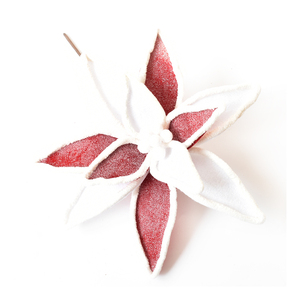 White and Pink Christmas Flower