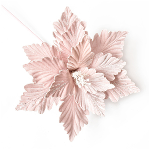 Pink Christmas Flower