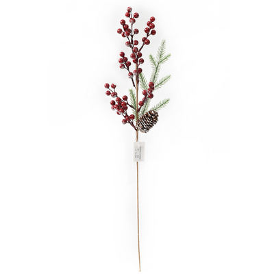 RED AND GREEN BERRY PICK