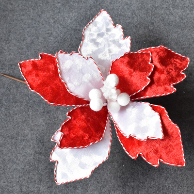Red and White Christmas Flower