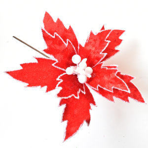 Red and White Christmas Flower