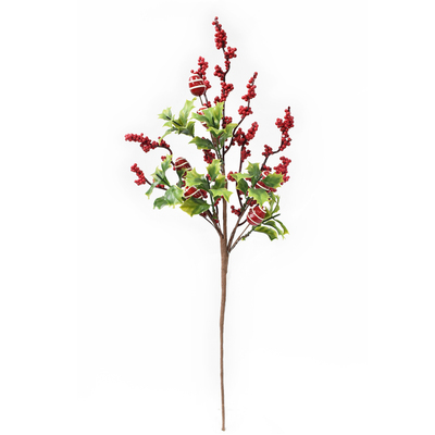 RED AND GREEN BERRY PICK