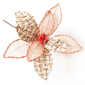 Natural Christmas Flower