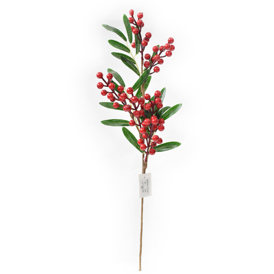 RED AND GREEN BERRY PICK