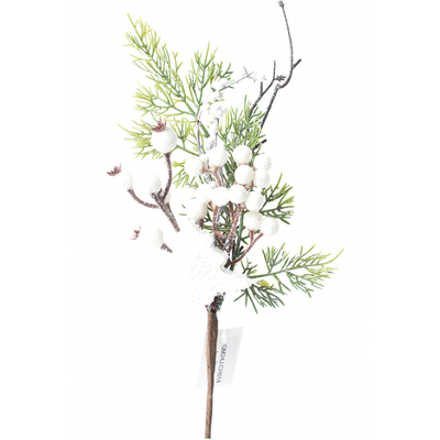 WHITE AND GREEN BERRY PICK