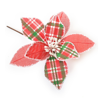 Red and Green Christmas Flower