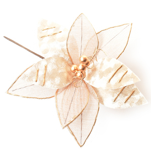 Champange Christmas Flower