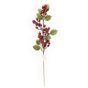 RED AND GREEN BERRY PICK